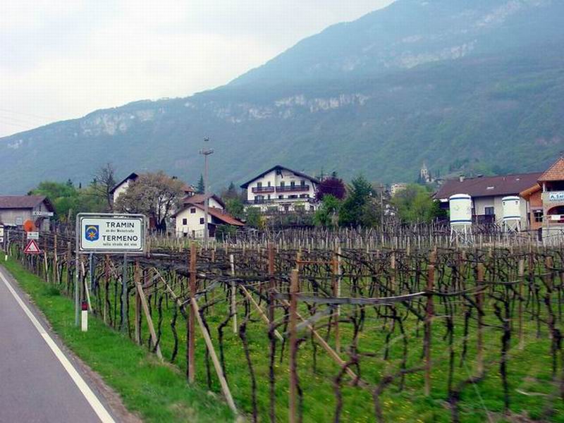 La strada del vino